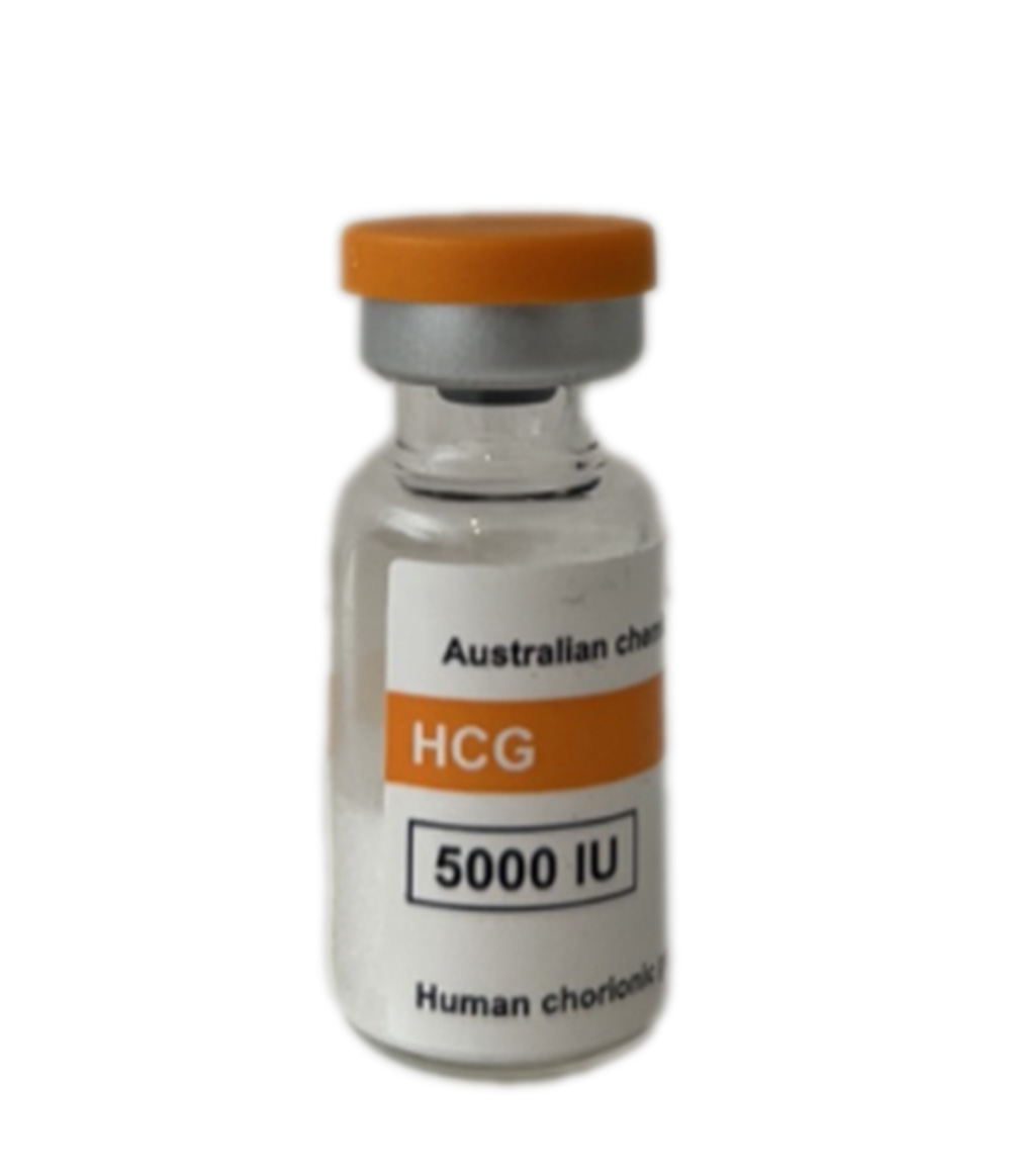 HCG – Human Chorionic Gonadotropin 5000 IU